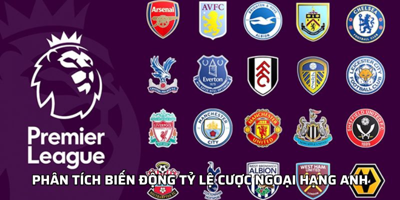 Kèo Premier League - Mẹo Lựa Chọn Kèo Phù Hợp Từng Trận Phân tích biến động tỷ lệ cược Ngoại hạng Anh